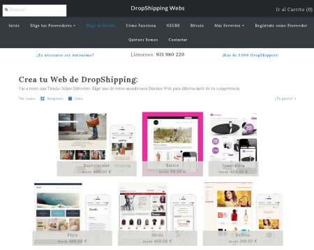 dropshipping webs pantallazo